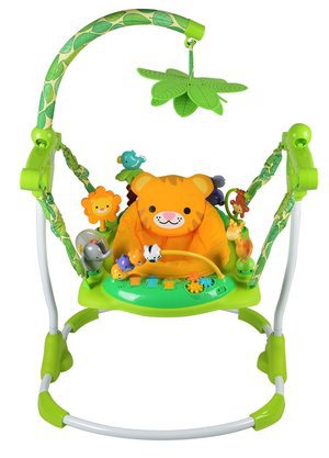 disney baby jumperoo